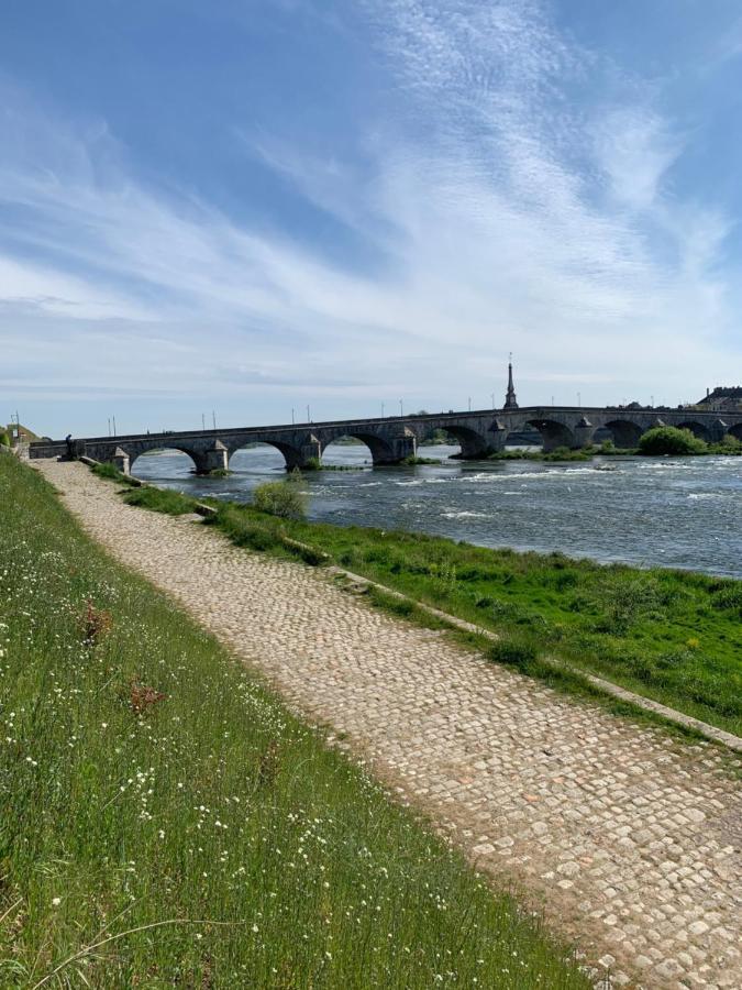 T2 - Au Calme Royaloire - Chateau A Vue - Luxe, Renove Blois Exterior photo